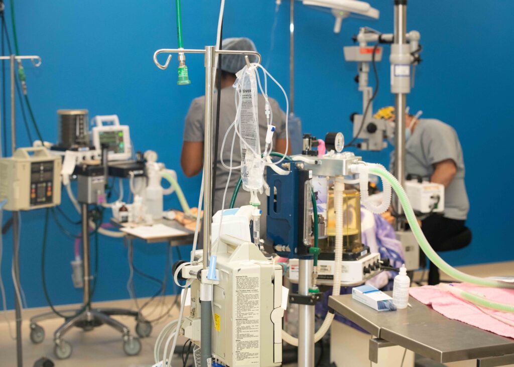 Lens Luxation Animal Vision Care Surgical Center vrogue.co