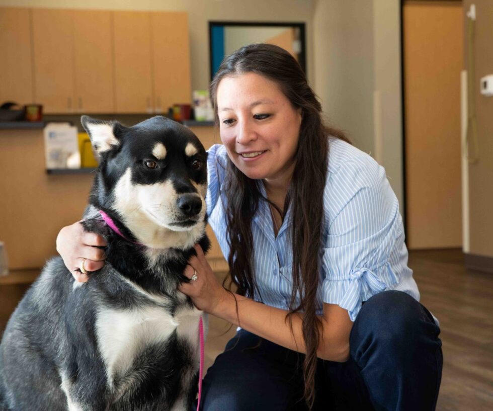 Pet Pannus (Chronic Superficial Keratitis) In Katy, TX 77450 Animal